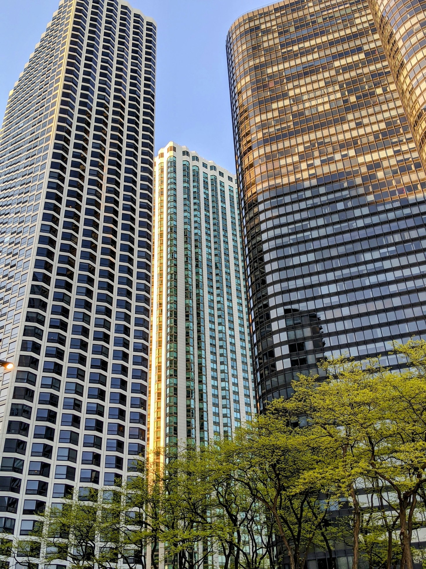 Navigating HOA Management: Tips for Success